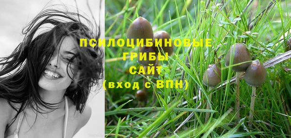 стаф Балахна