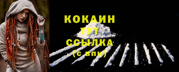 стаф Балахна