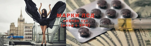 шишки Баксан