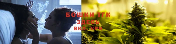 шишки Баксан